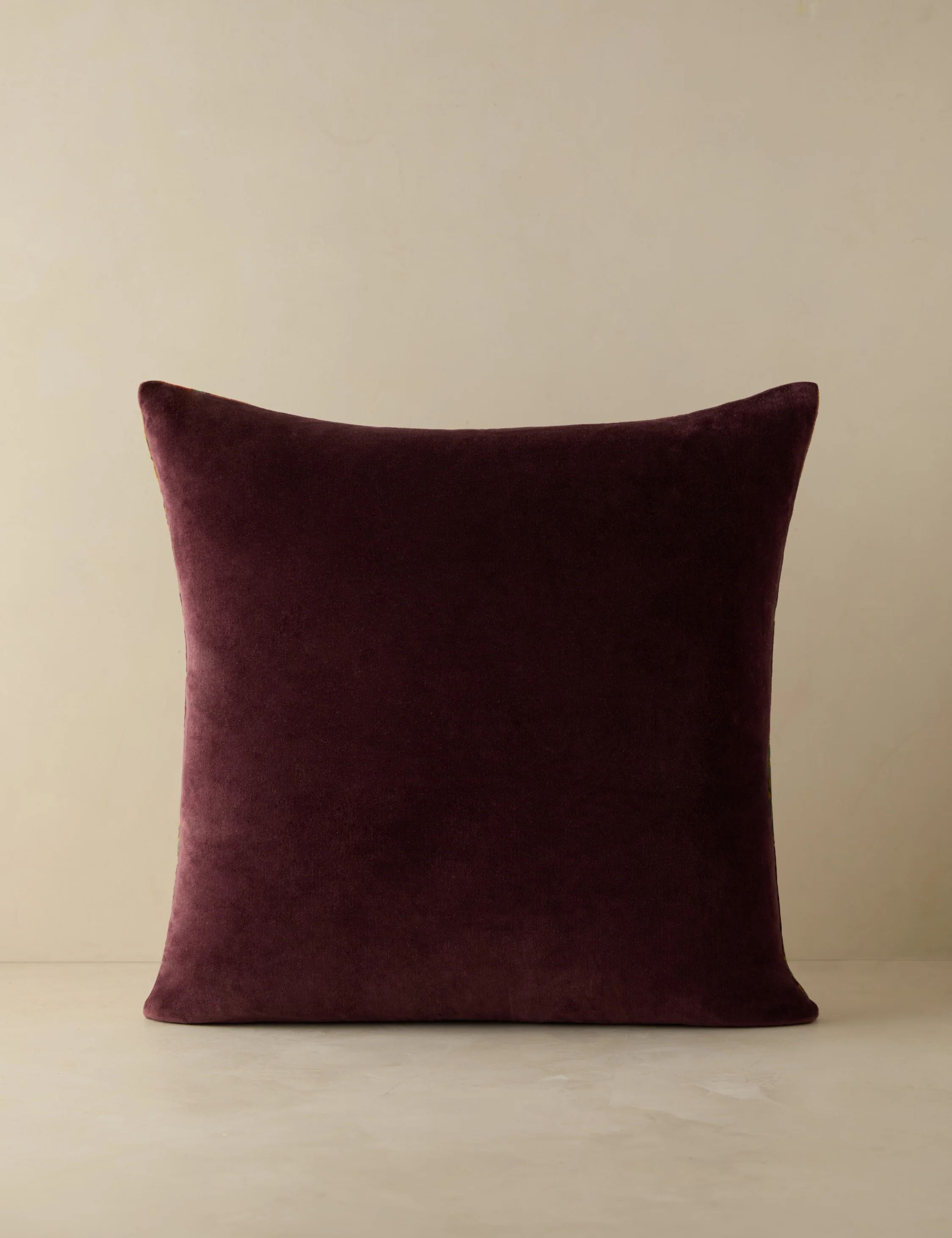 Agnetha Velvet Pillow - Image 4