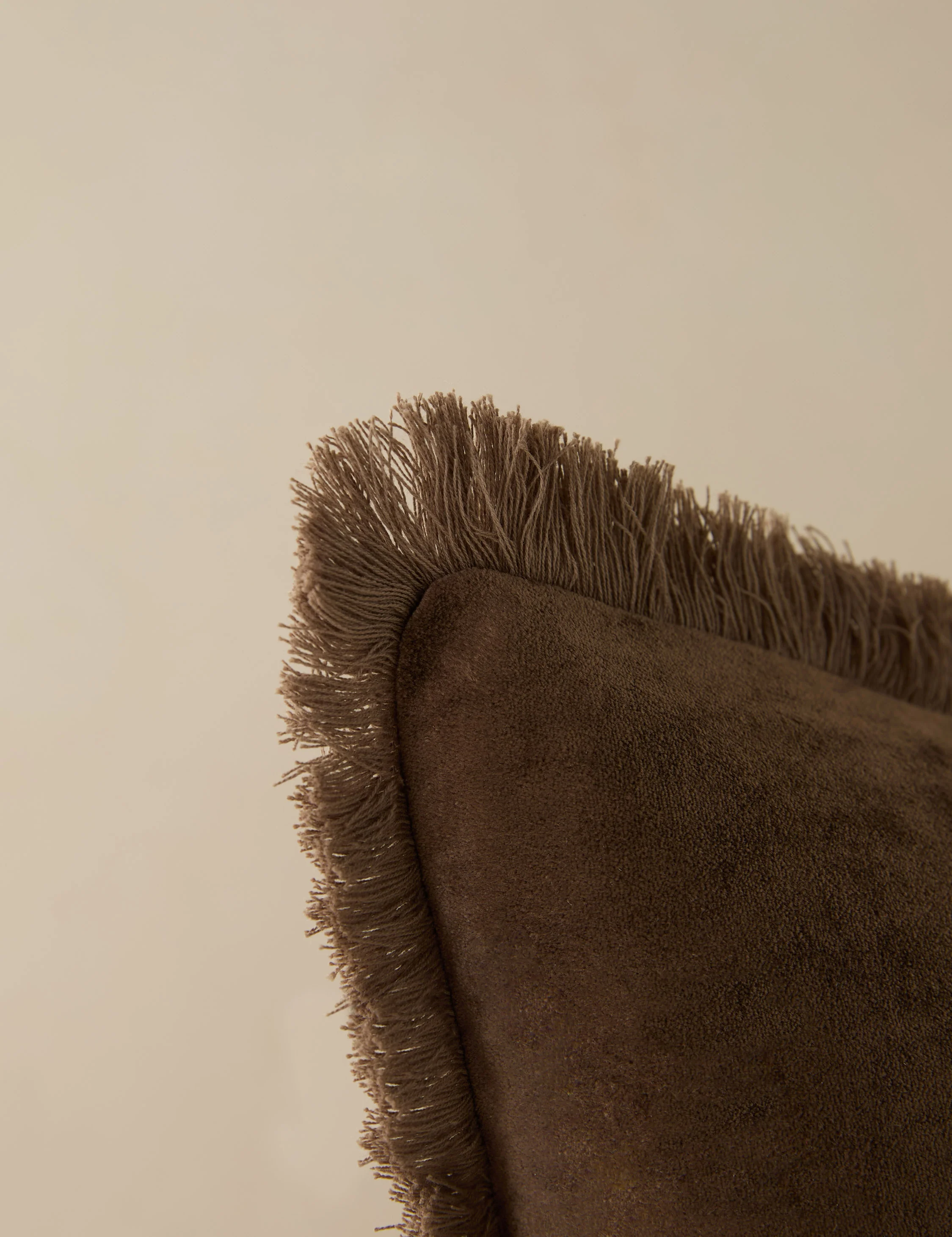 Brandis Velvet Pillow - Image 13