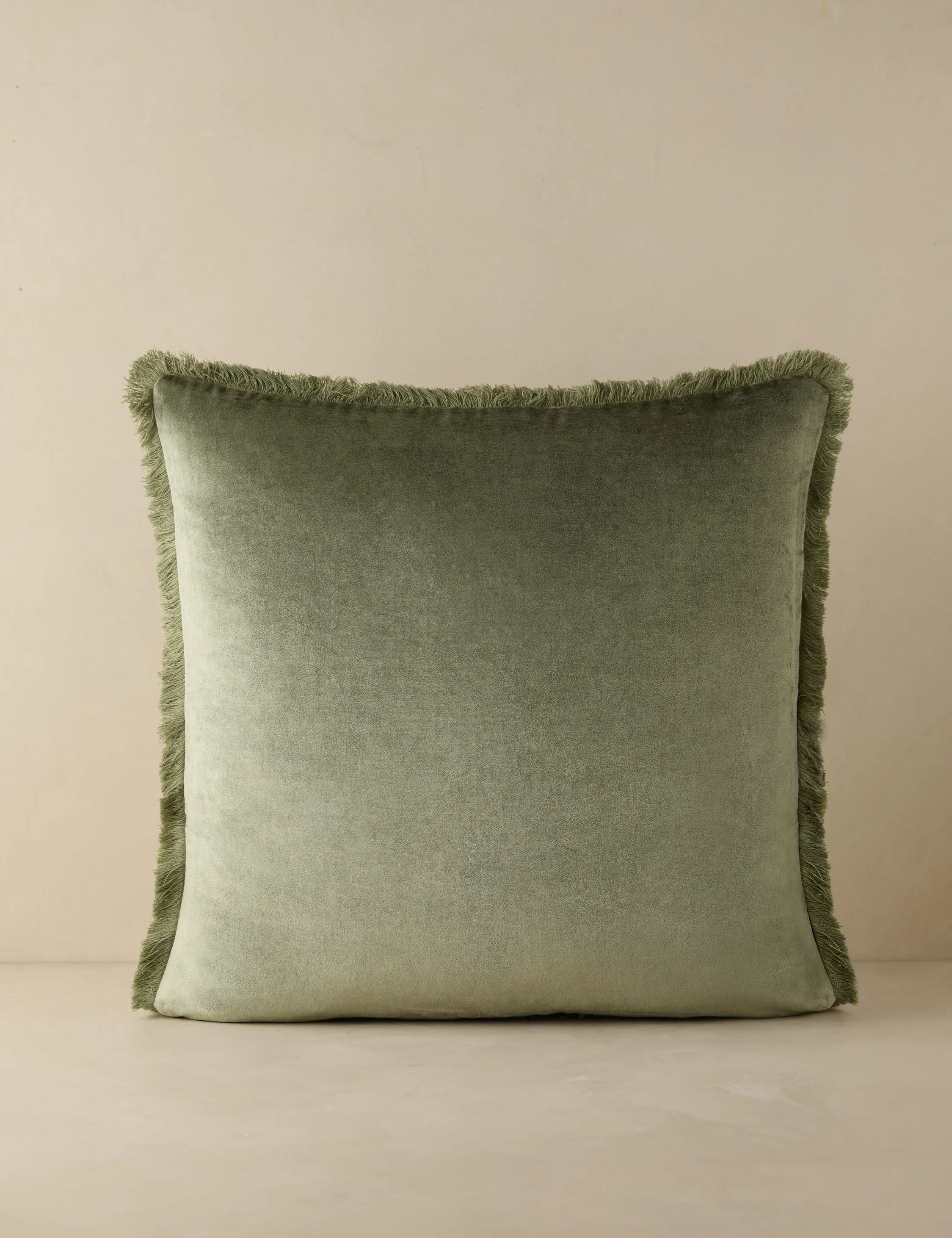 Brandis Velvet Pillow - Image 3