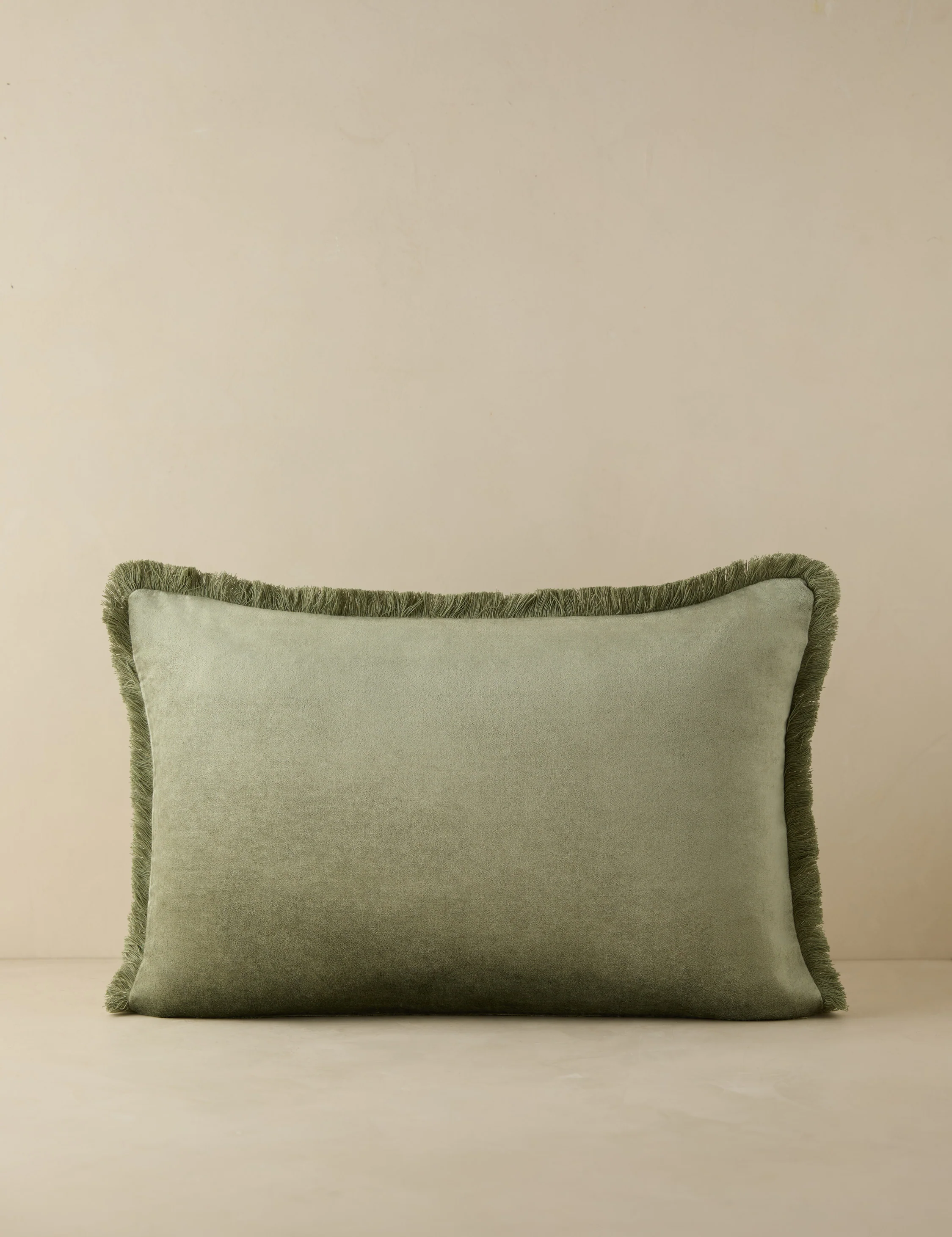 Brandis Velvet Pillow - Image 4