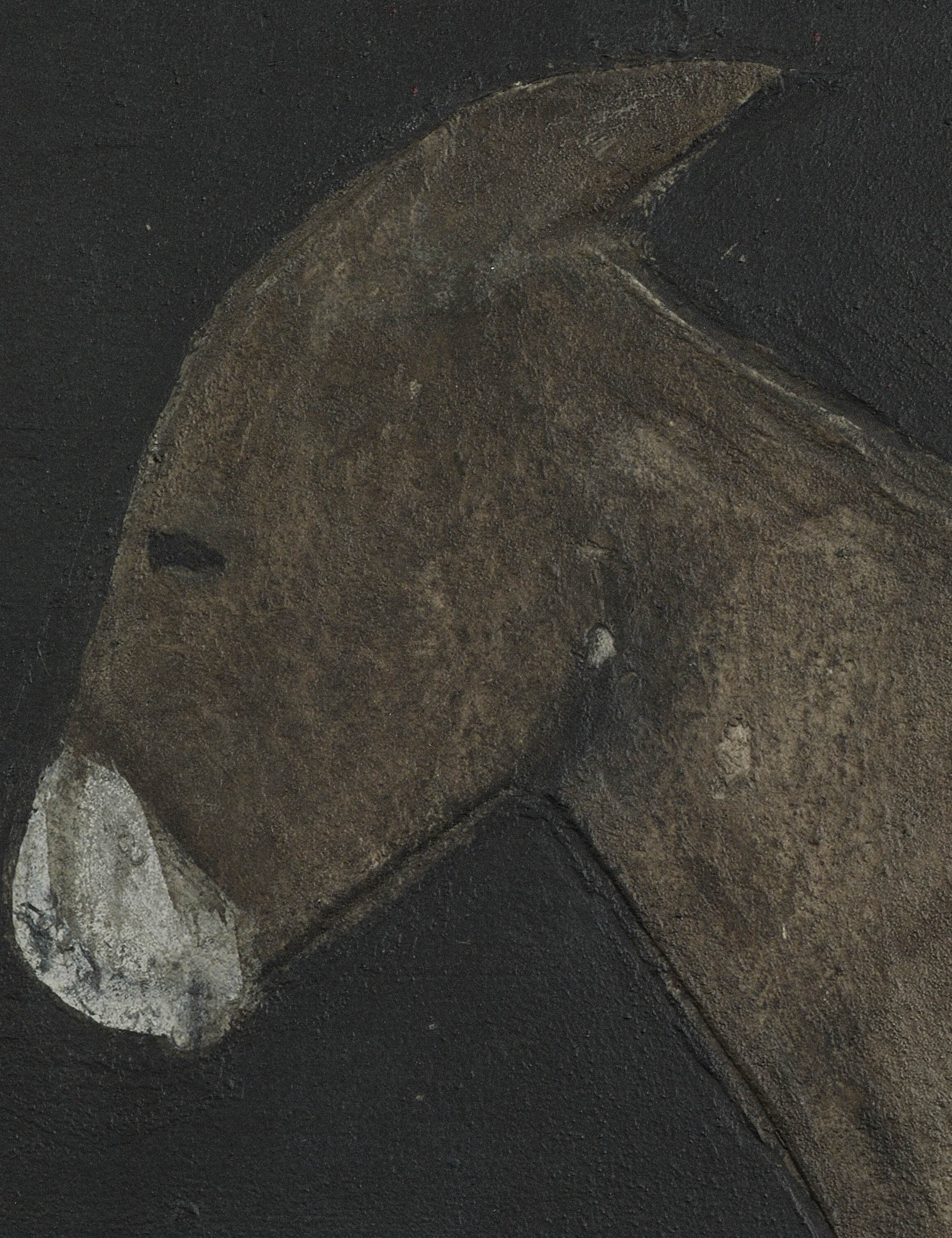 Burro Noche Wall Art by Paul Meyer - Image 12