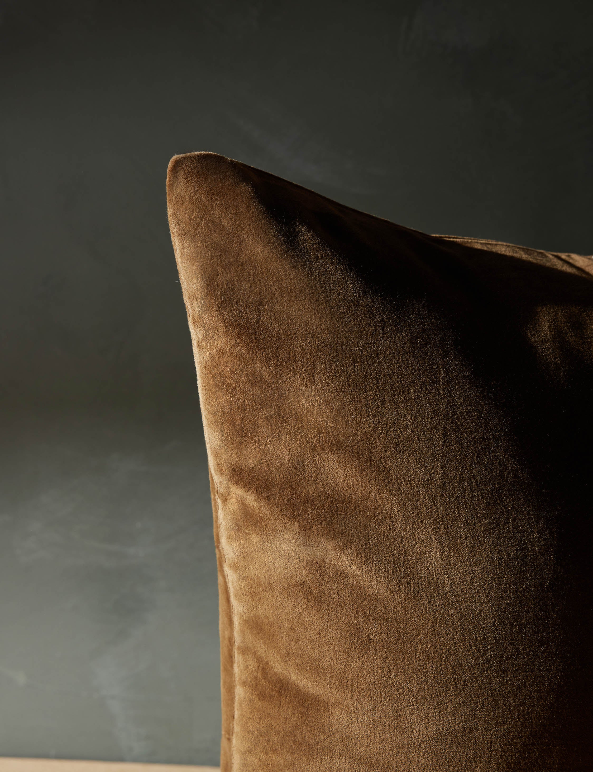Caddie Velvet Pillow - Image 5