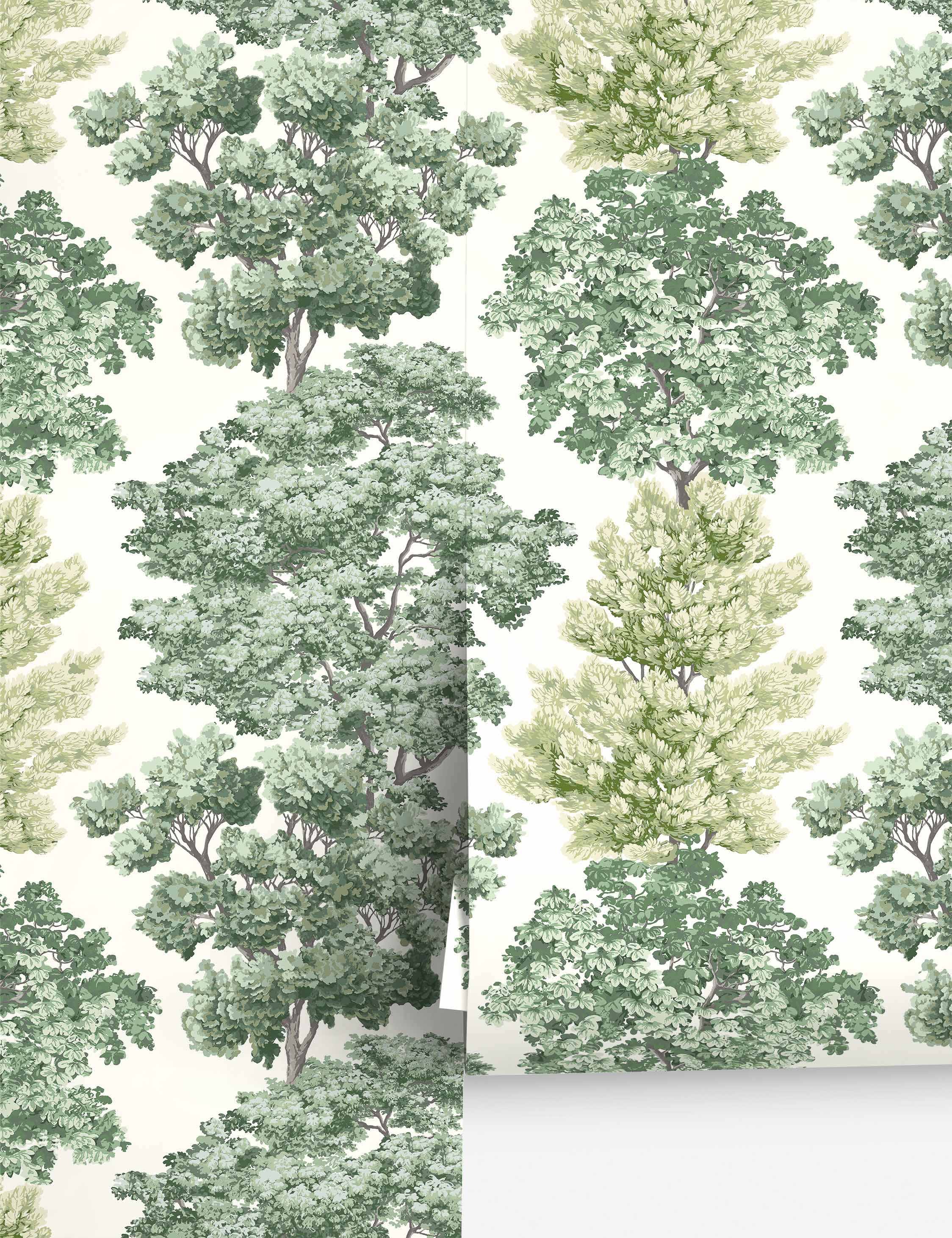 Central Park Wallpaper by Scalamandre - Image 5