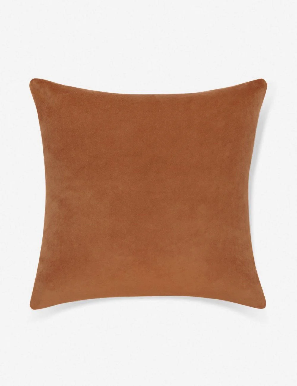 Charlotte Velvet Pillow - Image 15