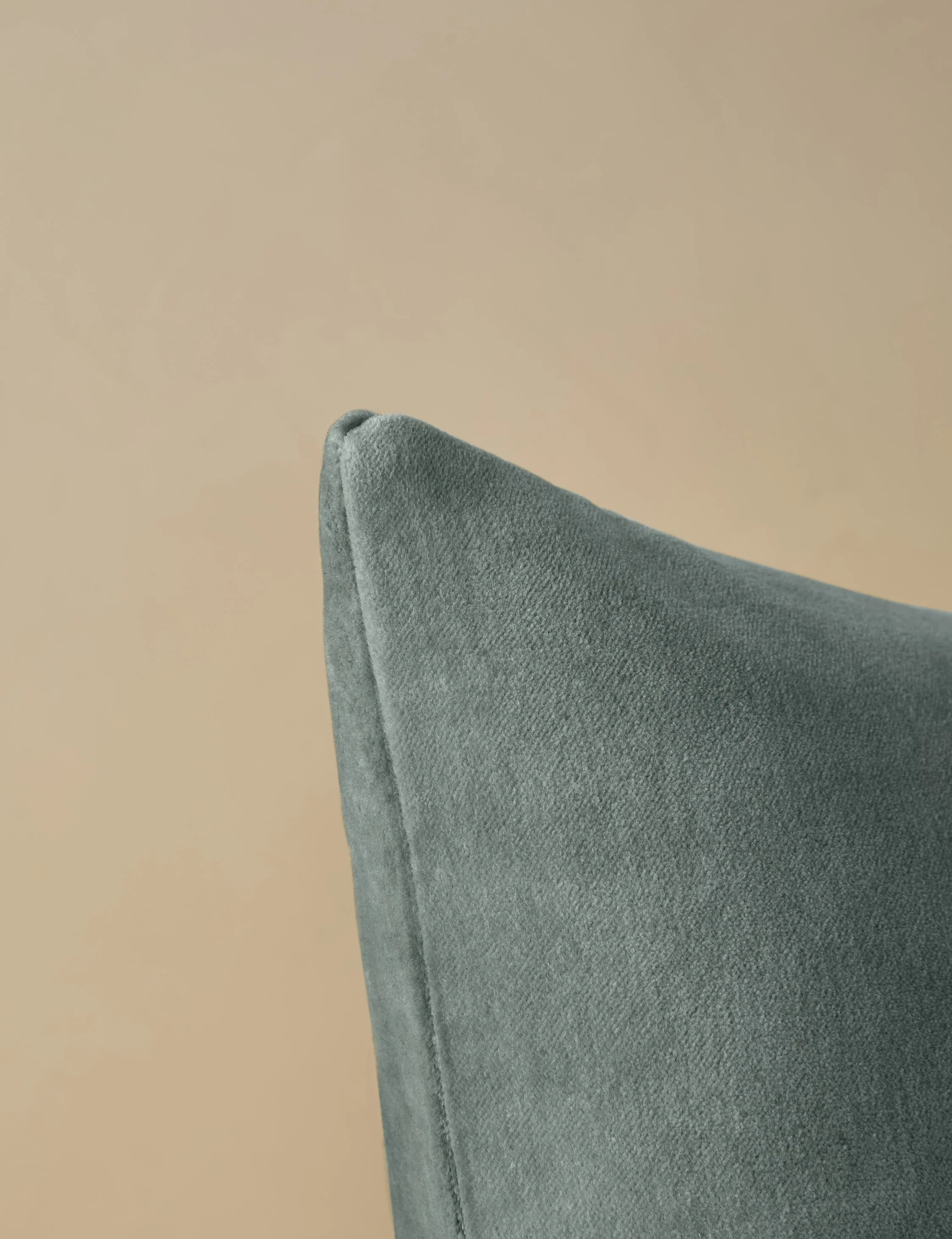 Charlotte Velvet Pillow - Image 34