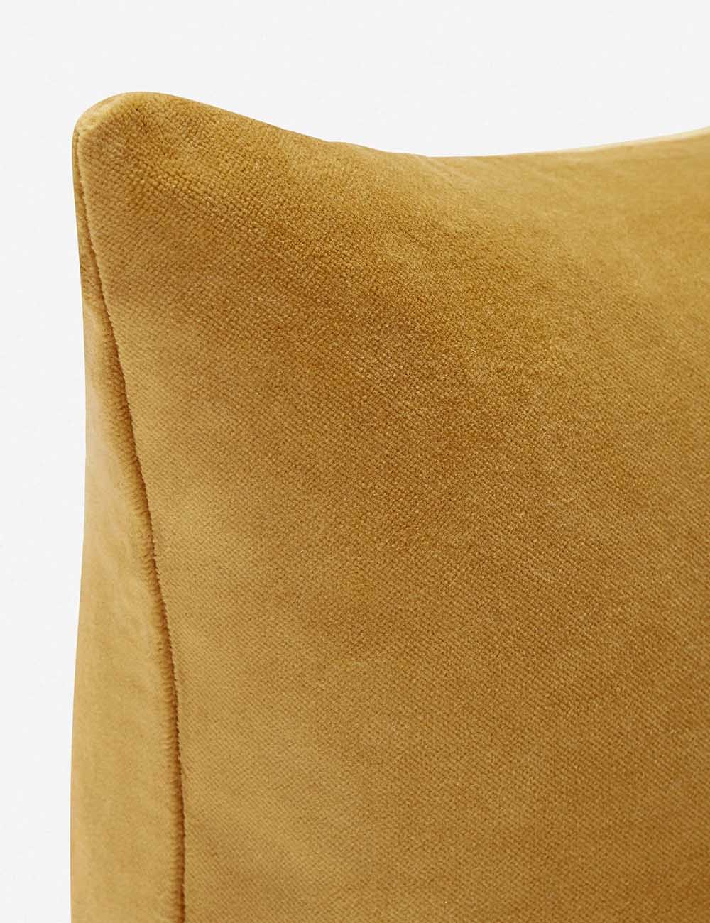 Charlotte Velvet Pillow - Image 42
