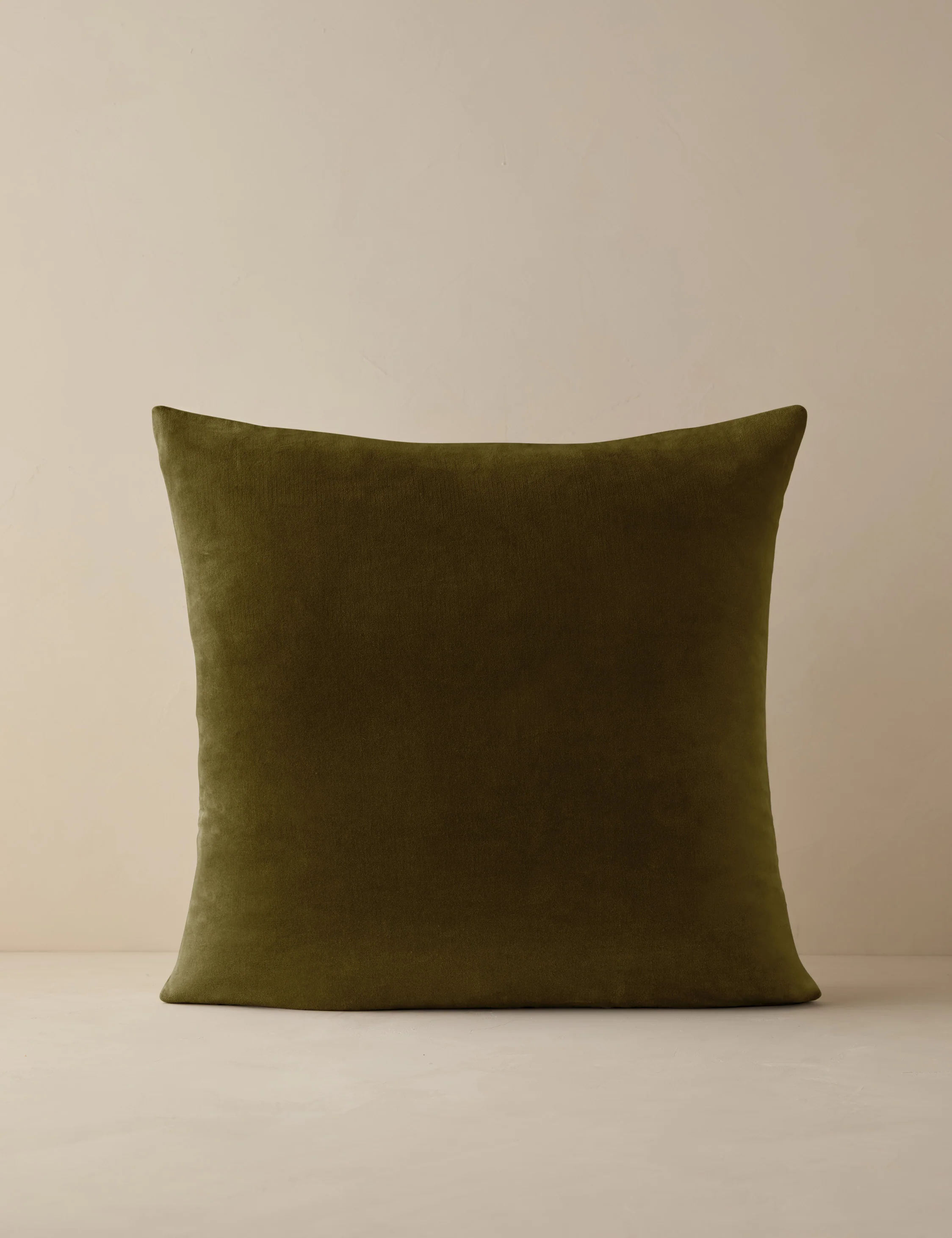 Charlotte Velvet Pillow - Image 50