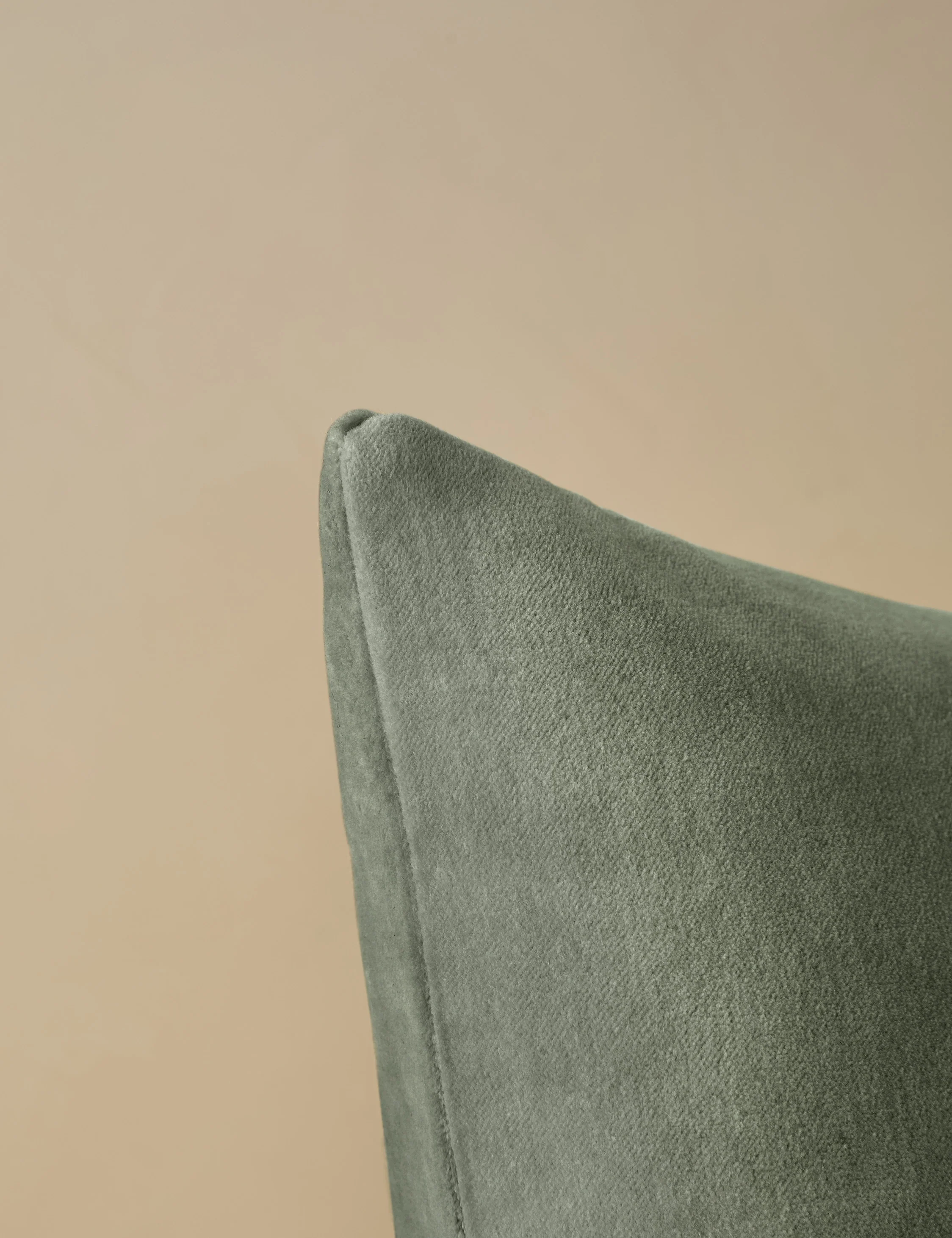 Charlotte Velvet Pillow - Image 8