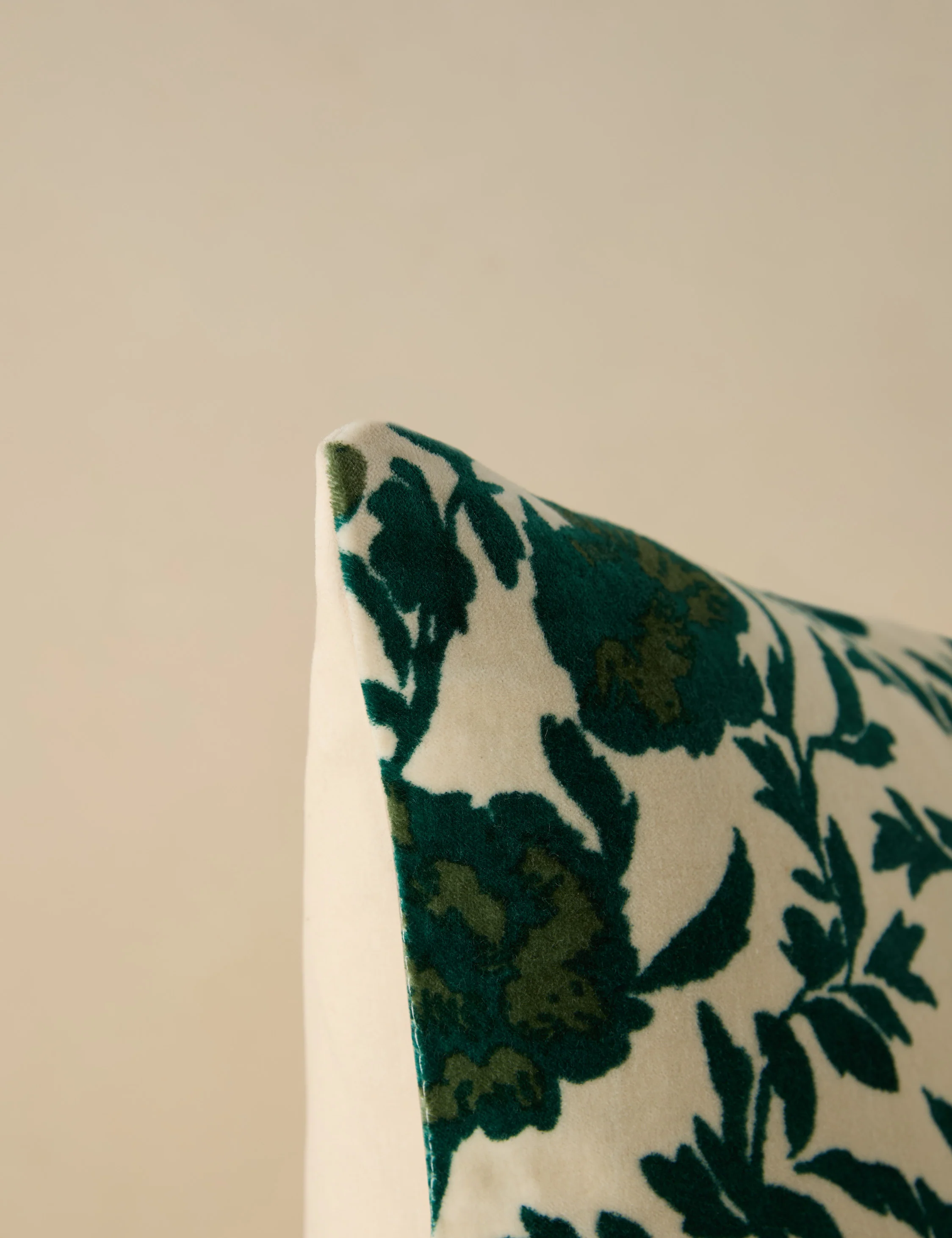 Corabel Velvet Pillow - Image 16