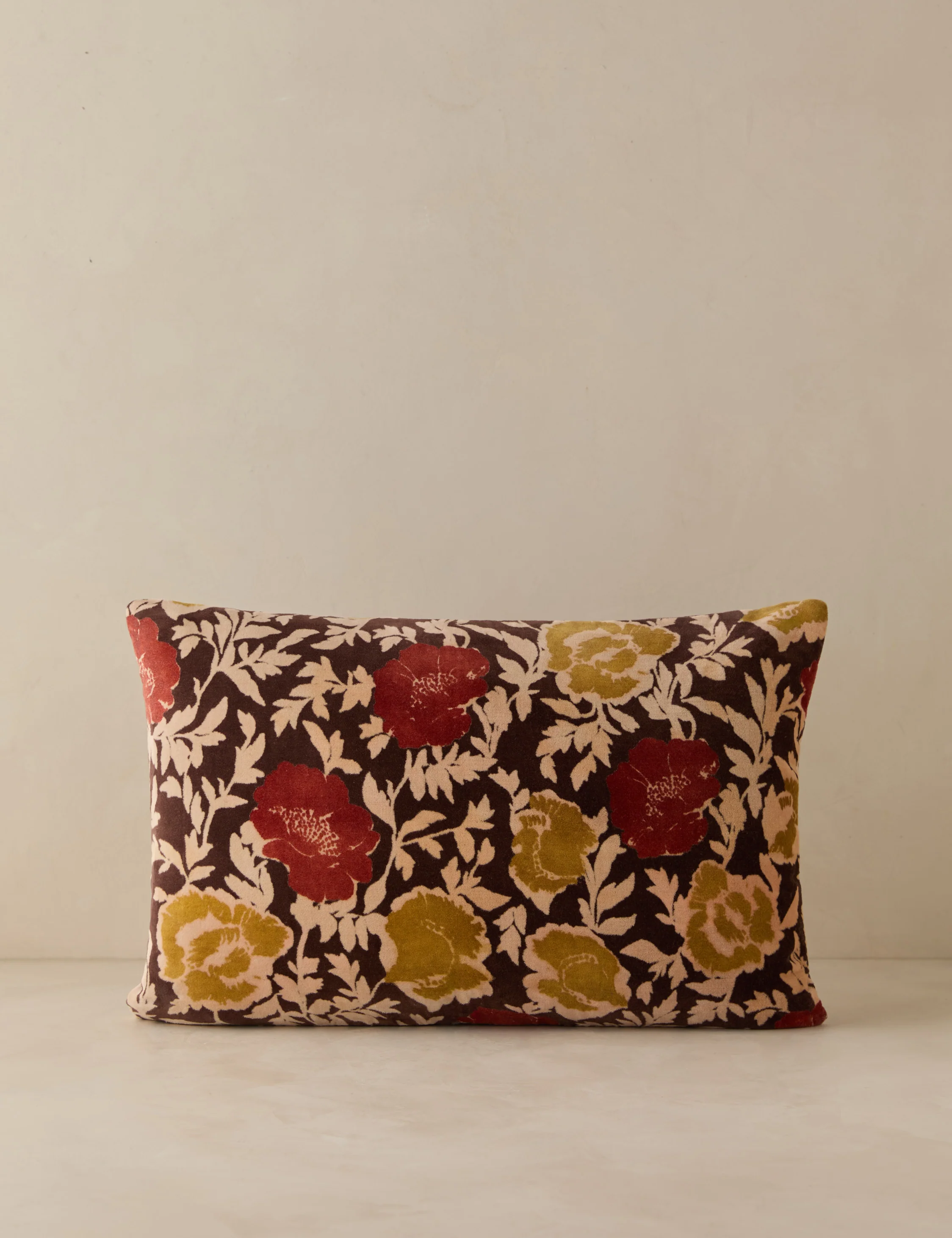 Corabel Velvet Pillow - Image 4