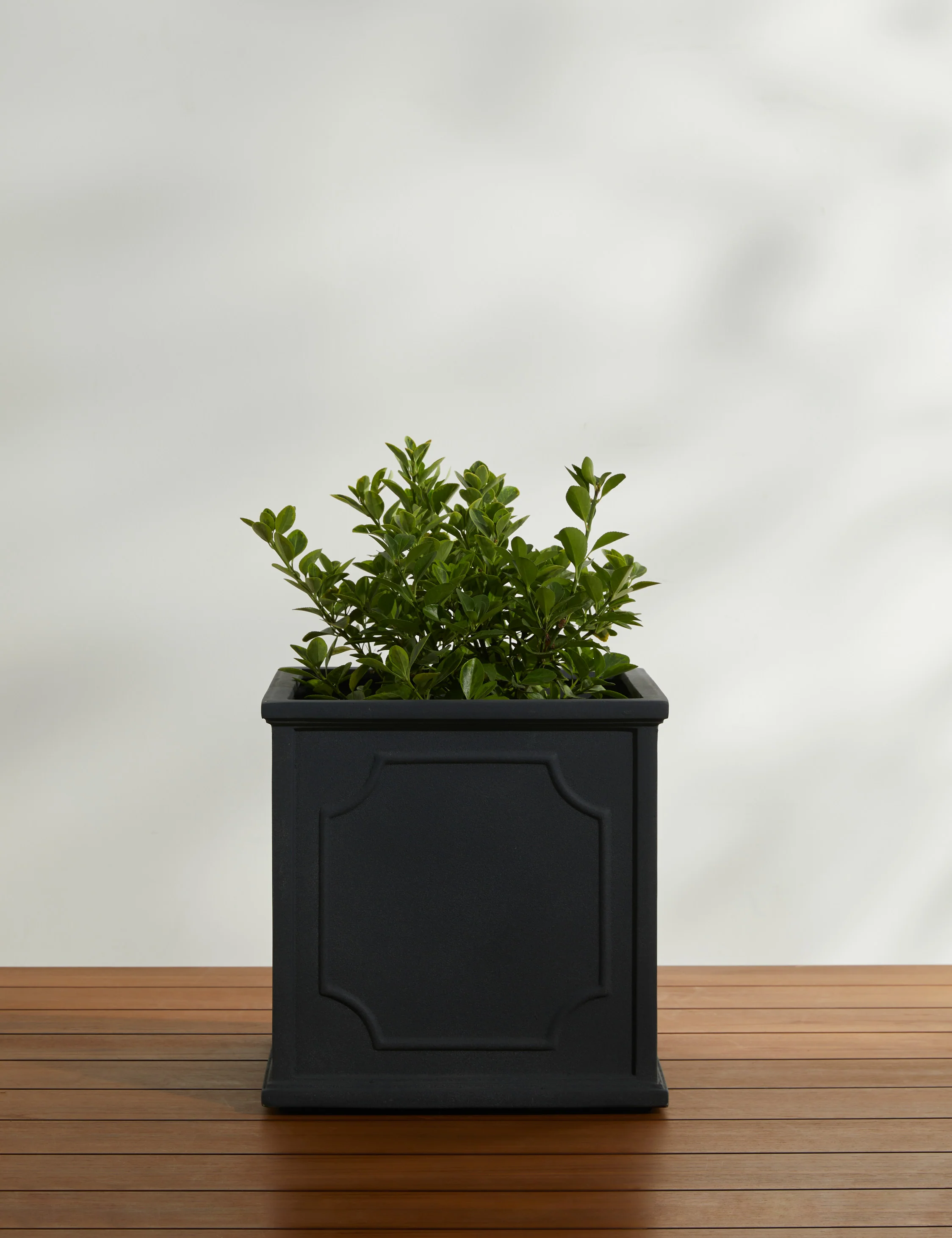 Cumberland Planter by Campania International - Image 11