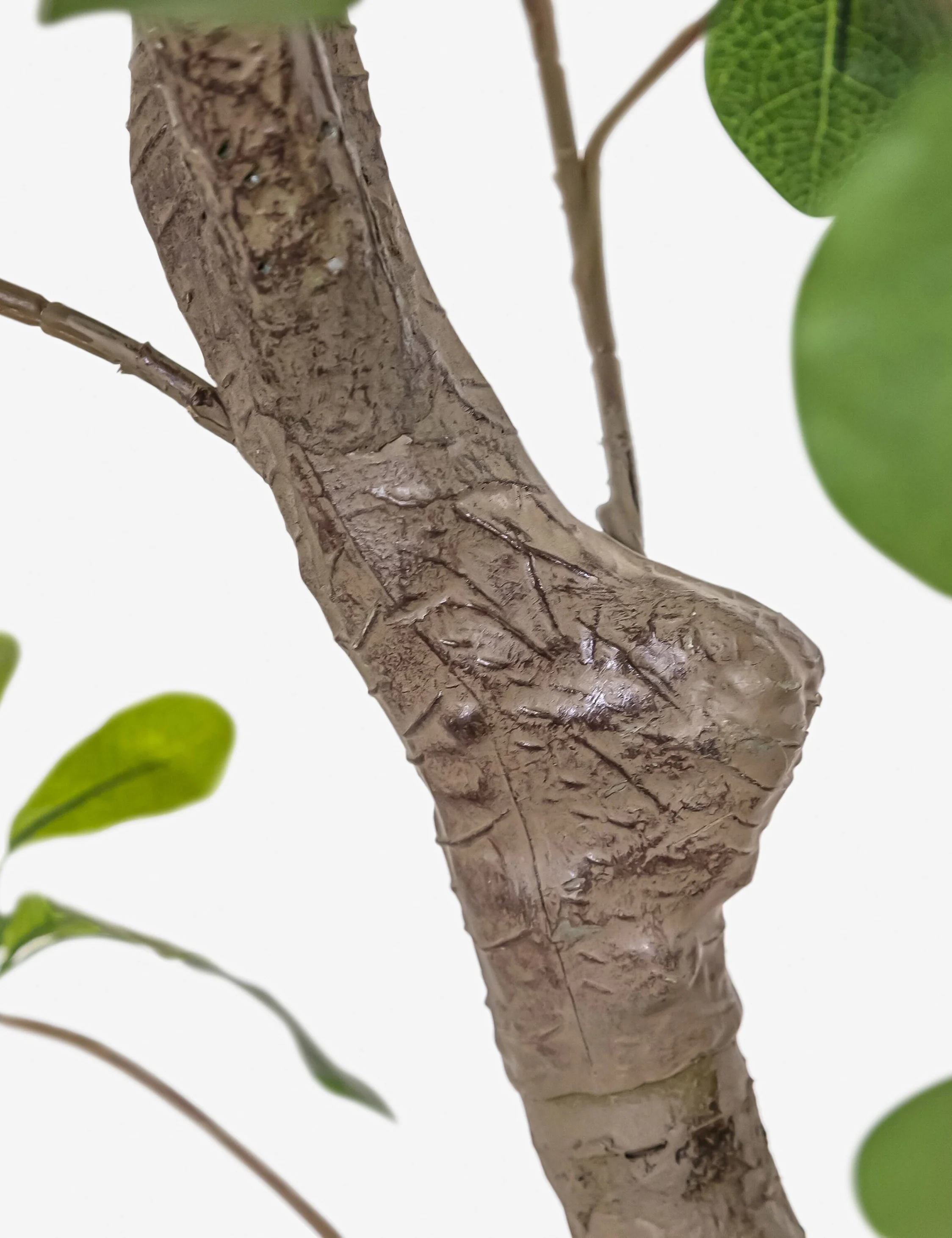 Faux Aralia Tree - Image 10