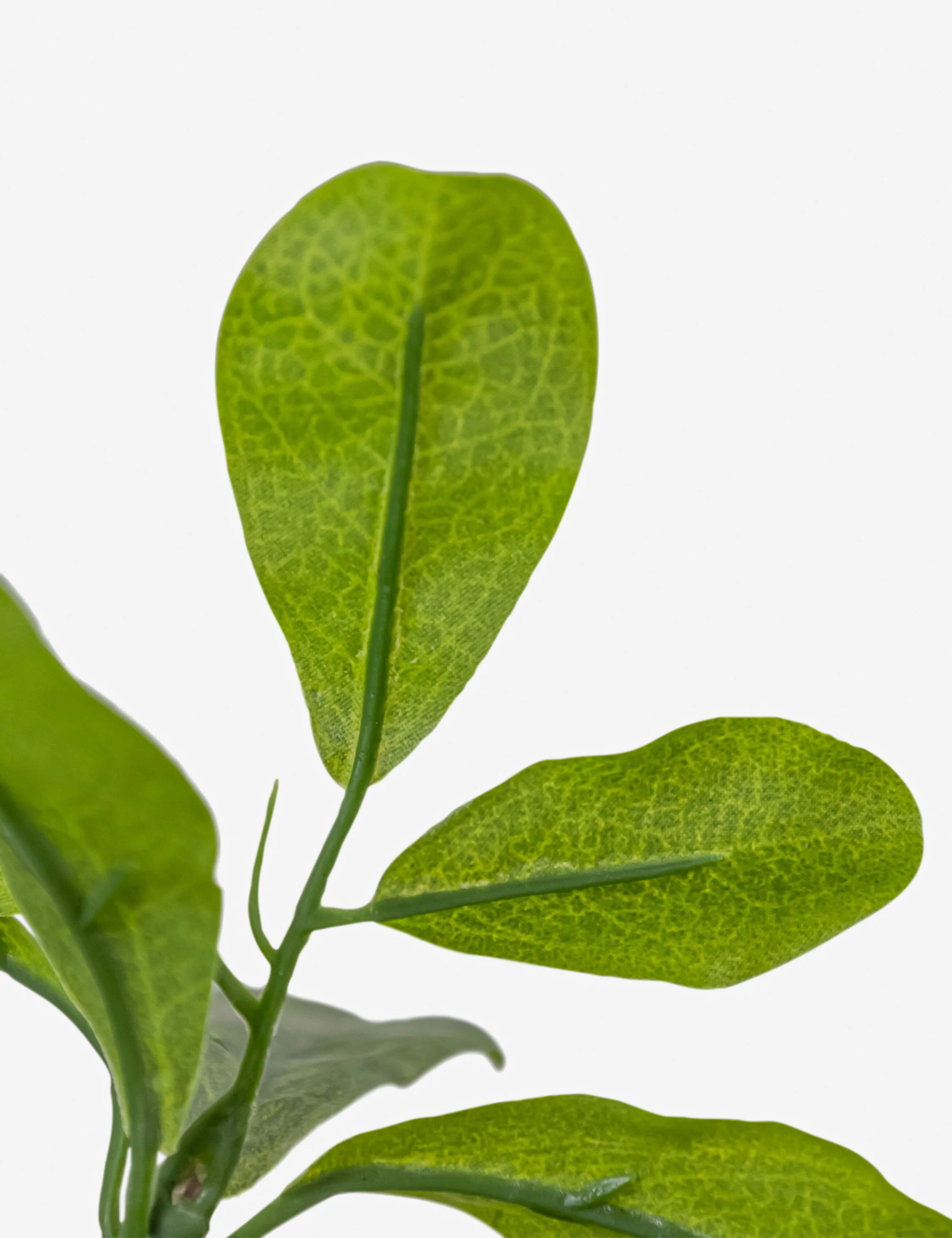 Faux Aralia Tree - Image 3