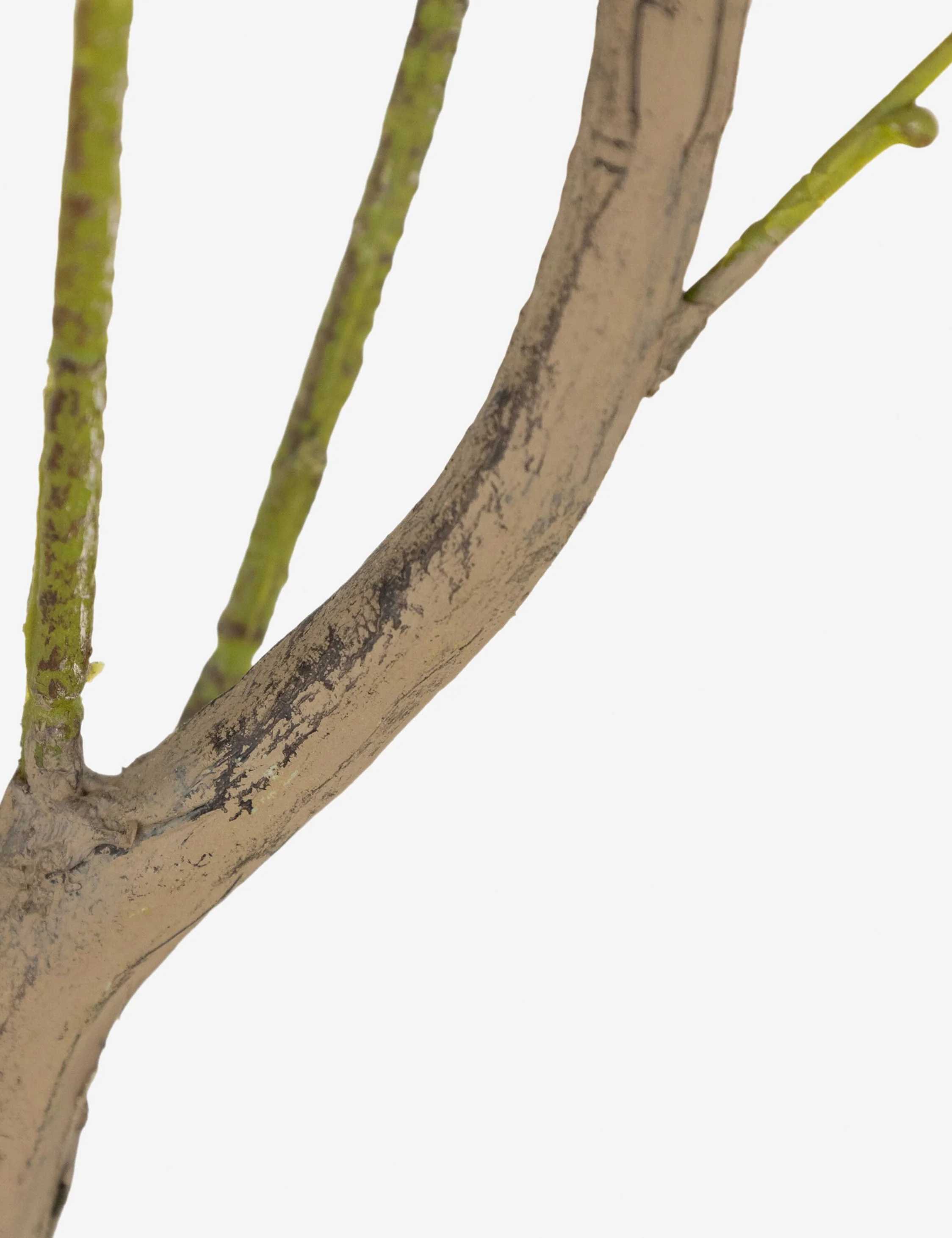 Faux Eucalyptus Tree - Image 4