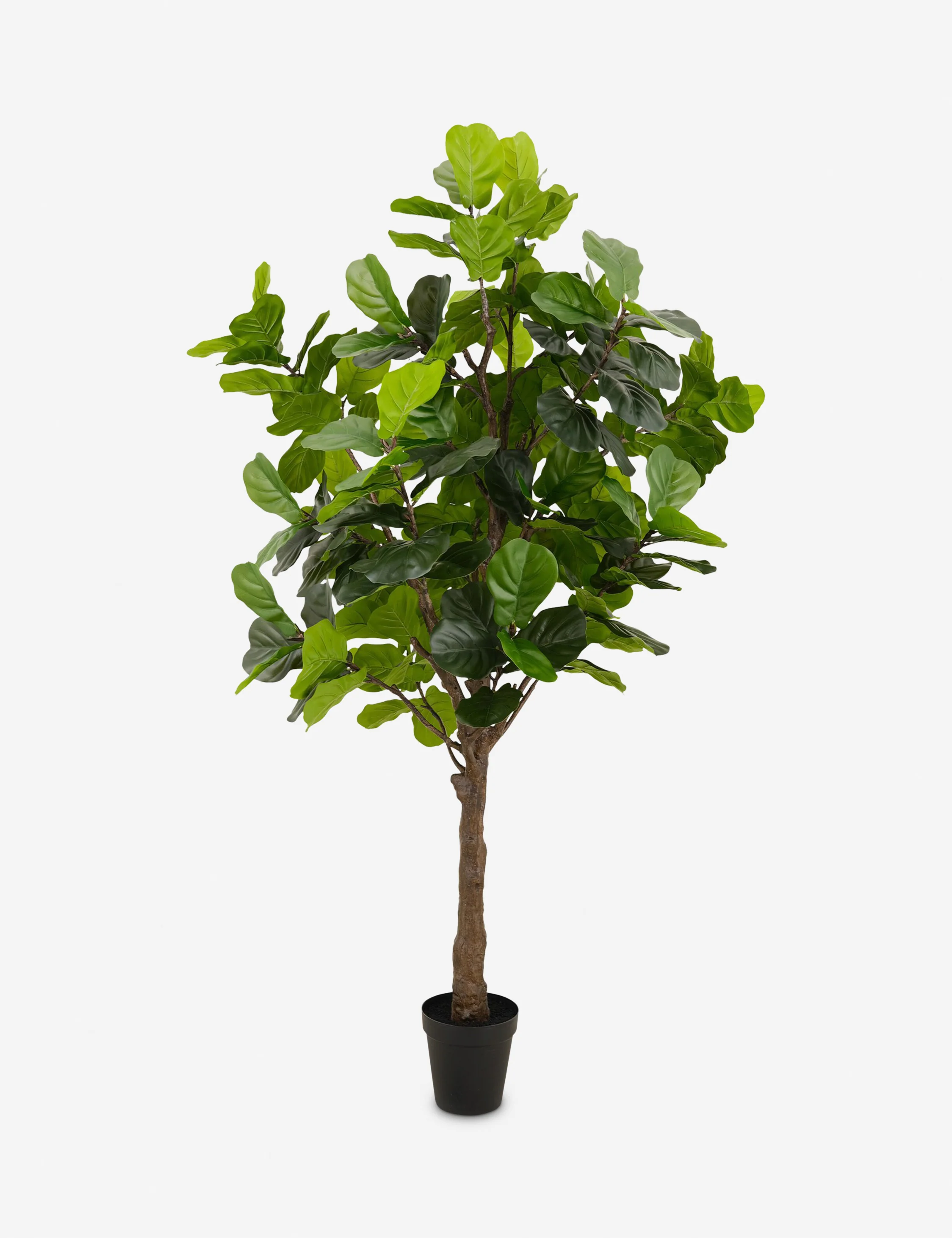 Faux Fiddle Leaf Tree - Image 8