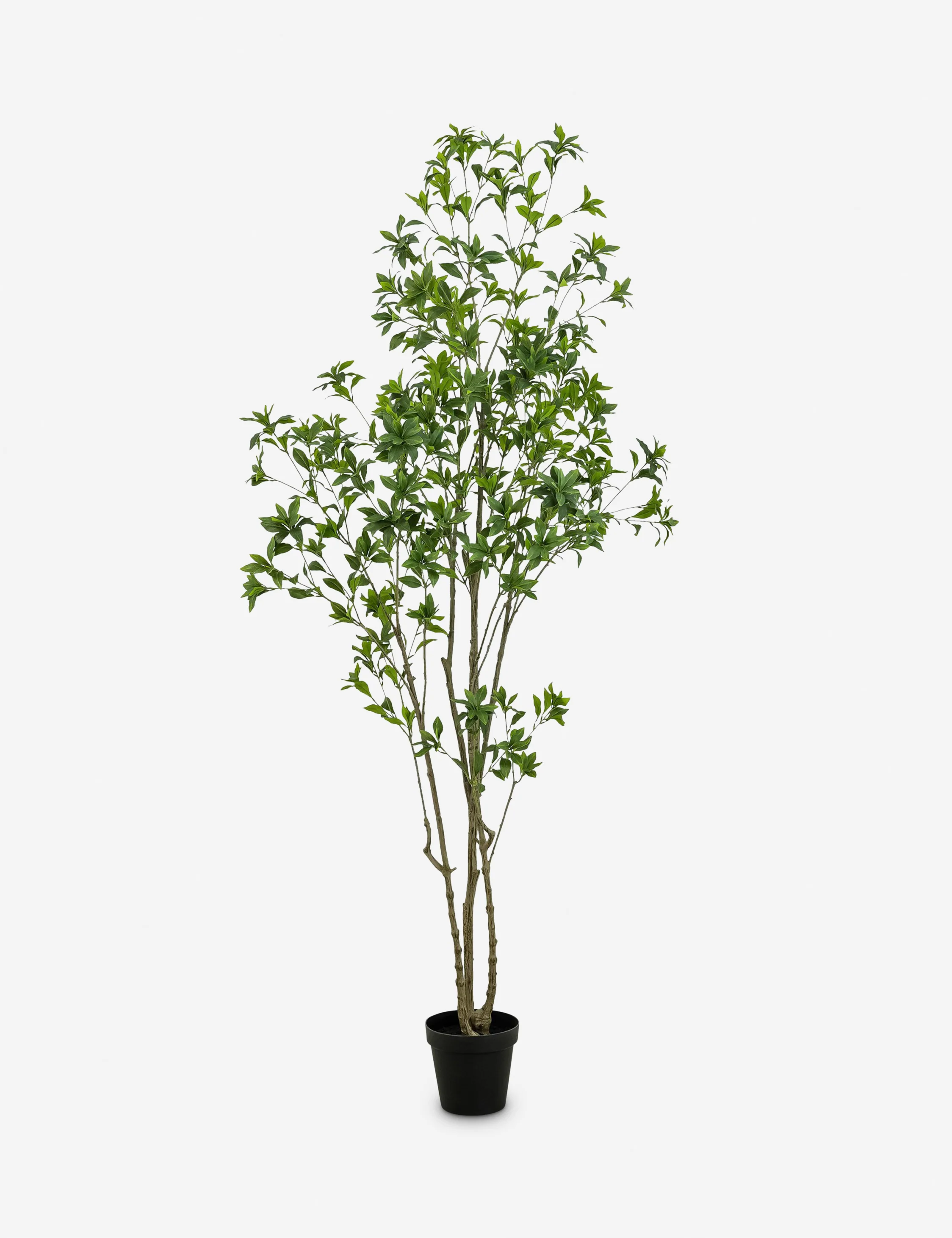 Faux Pieris Tree - Image 2