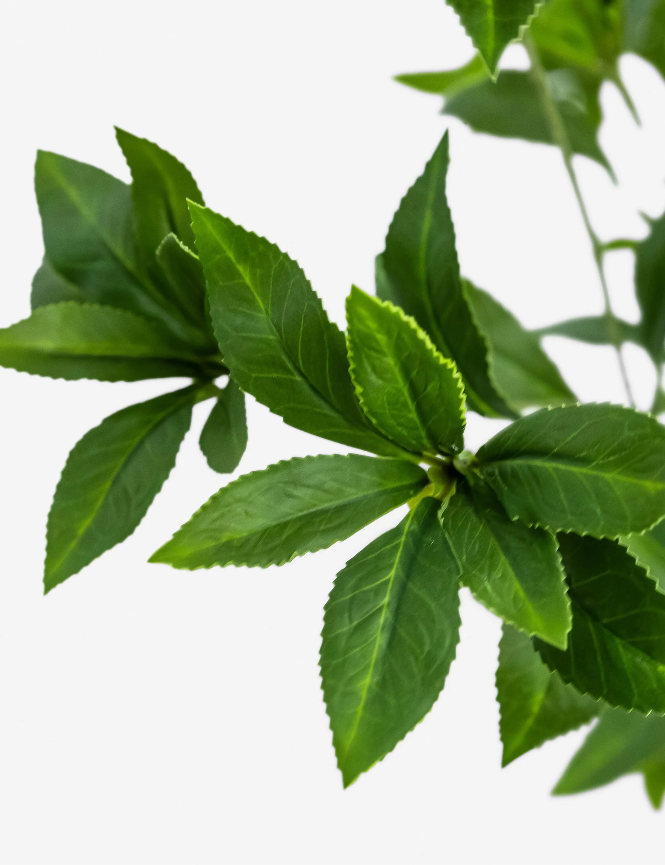 Faux Pieris Tree - Image 3