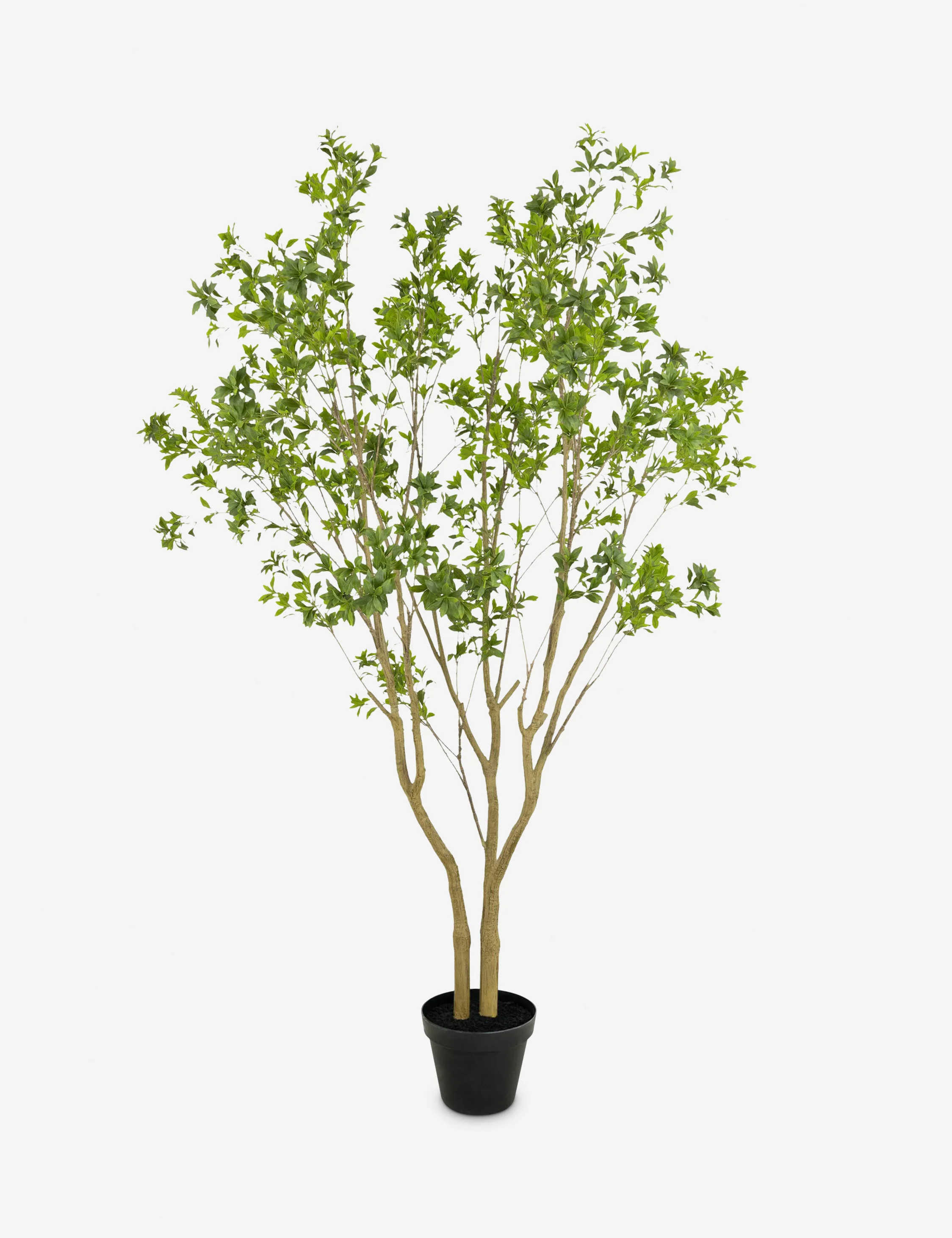 Faux Pieris Tree - Image 7