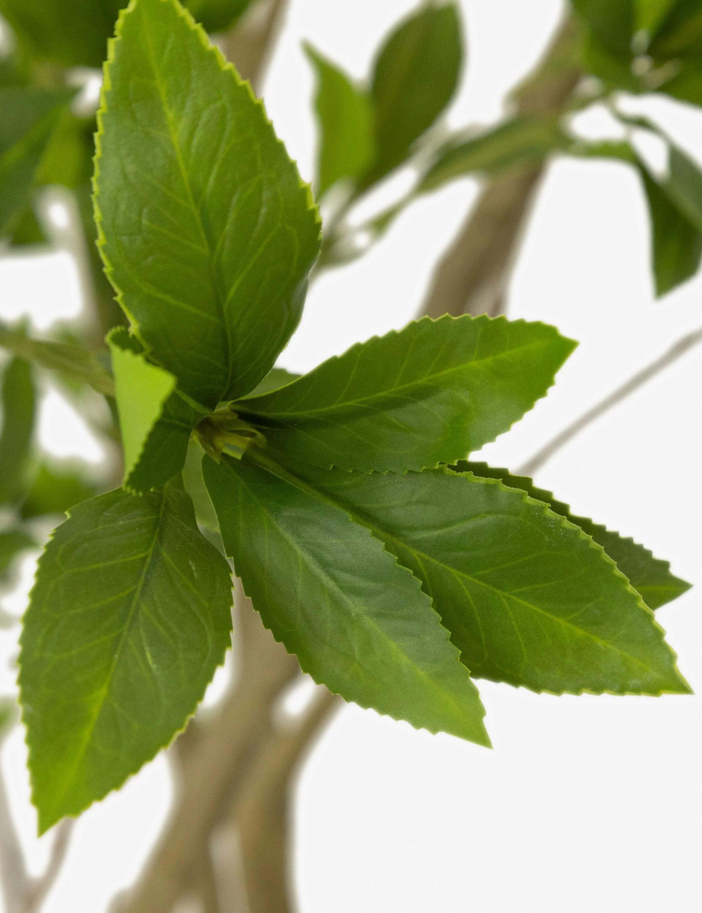 Faux Pieris Tree - Image 8