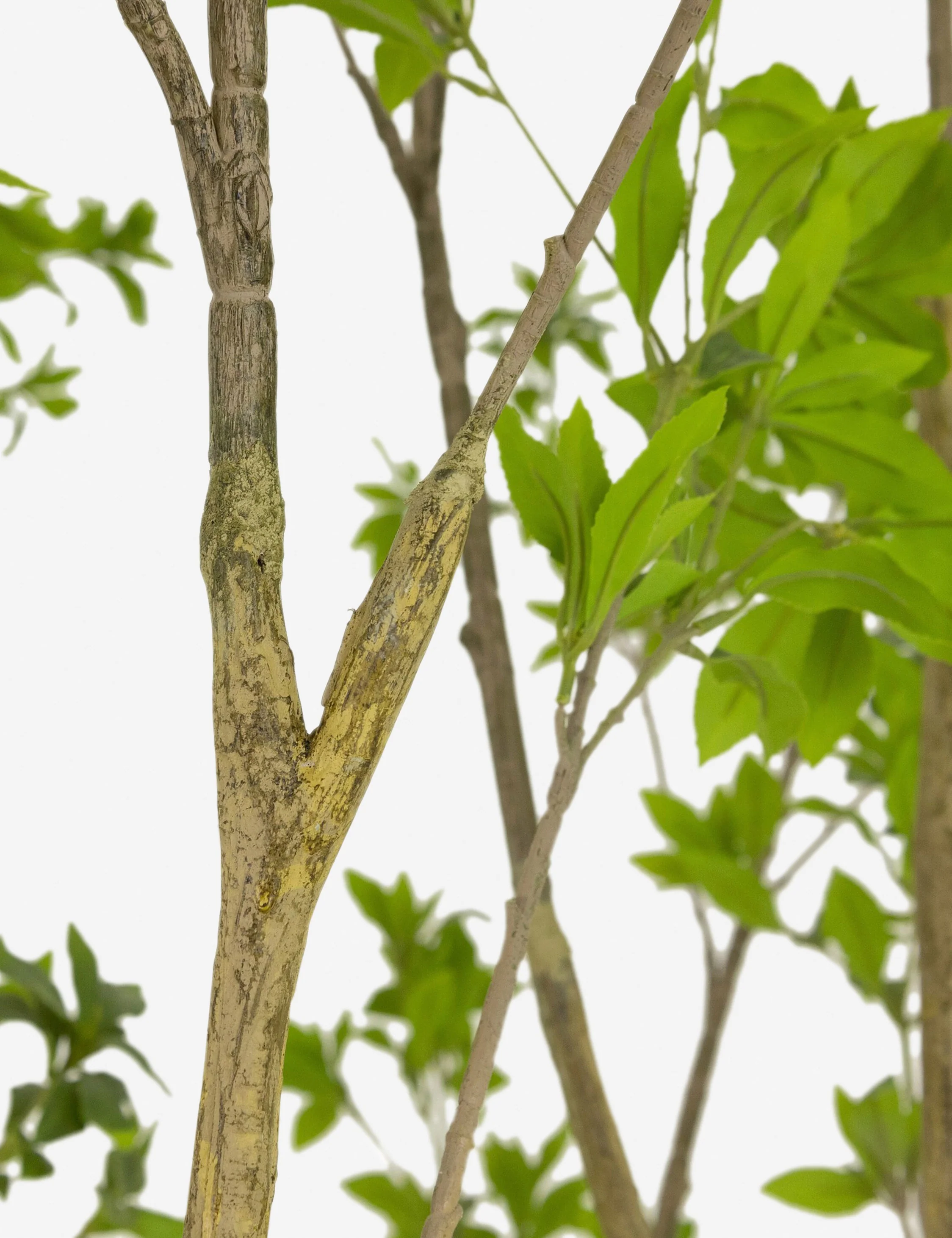 Faux Pieris Tree - Image 9