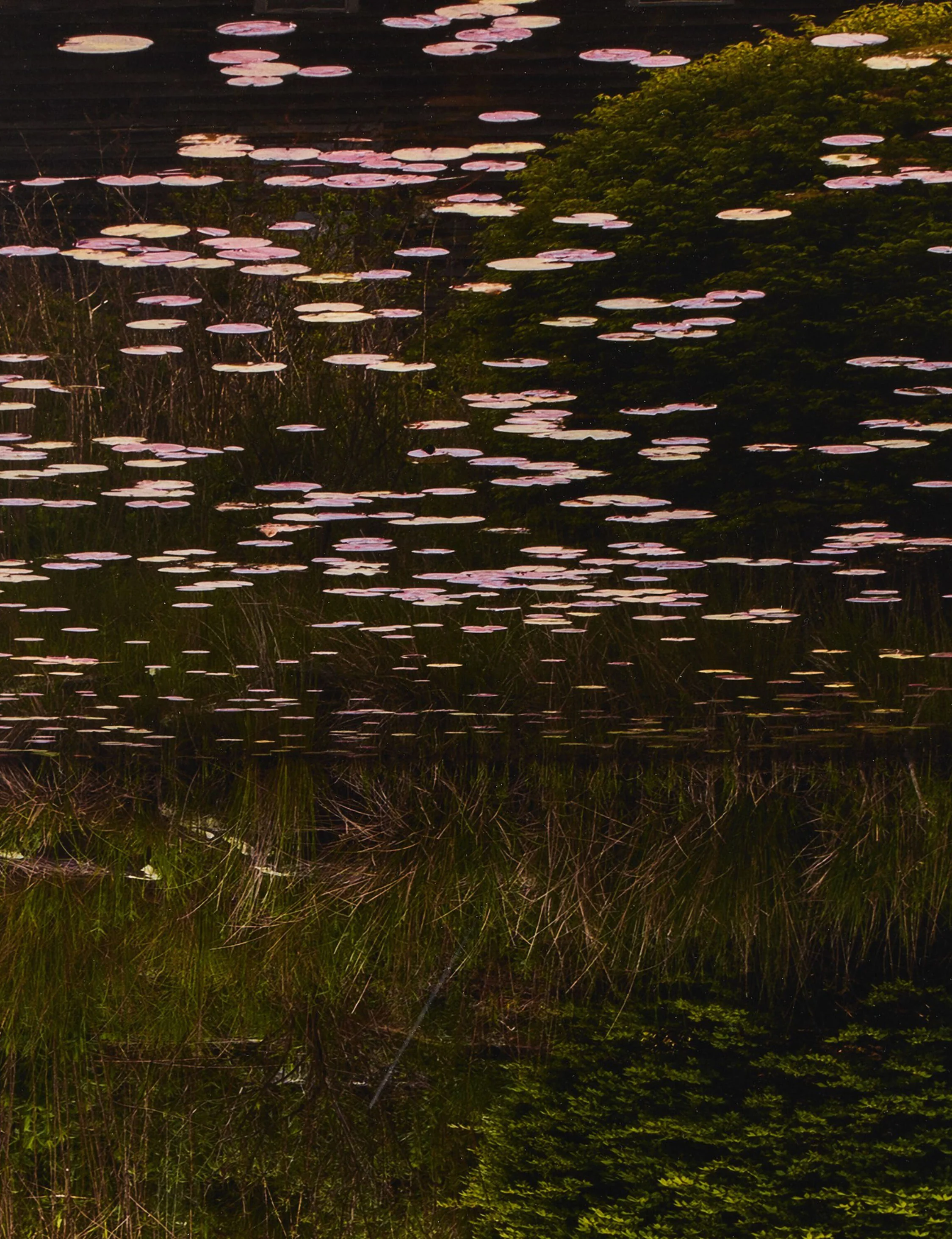 Frame Of Reference by Shade Degges - Image 6