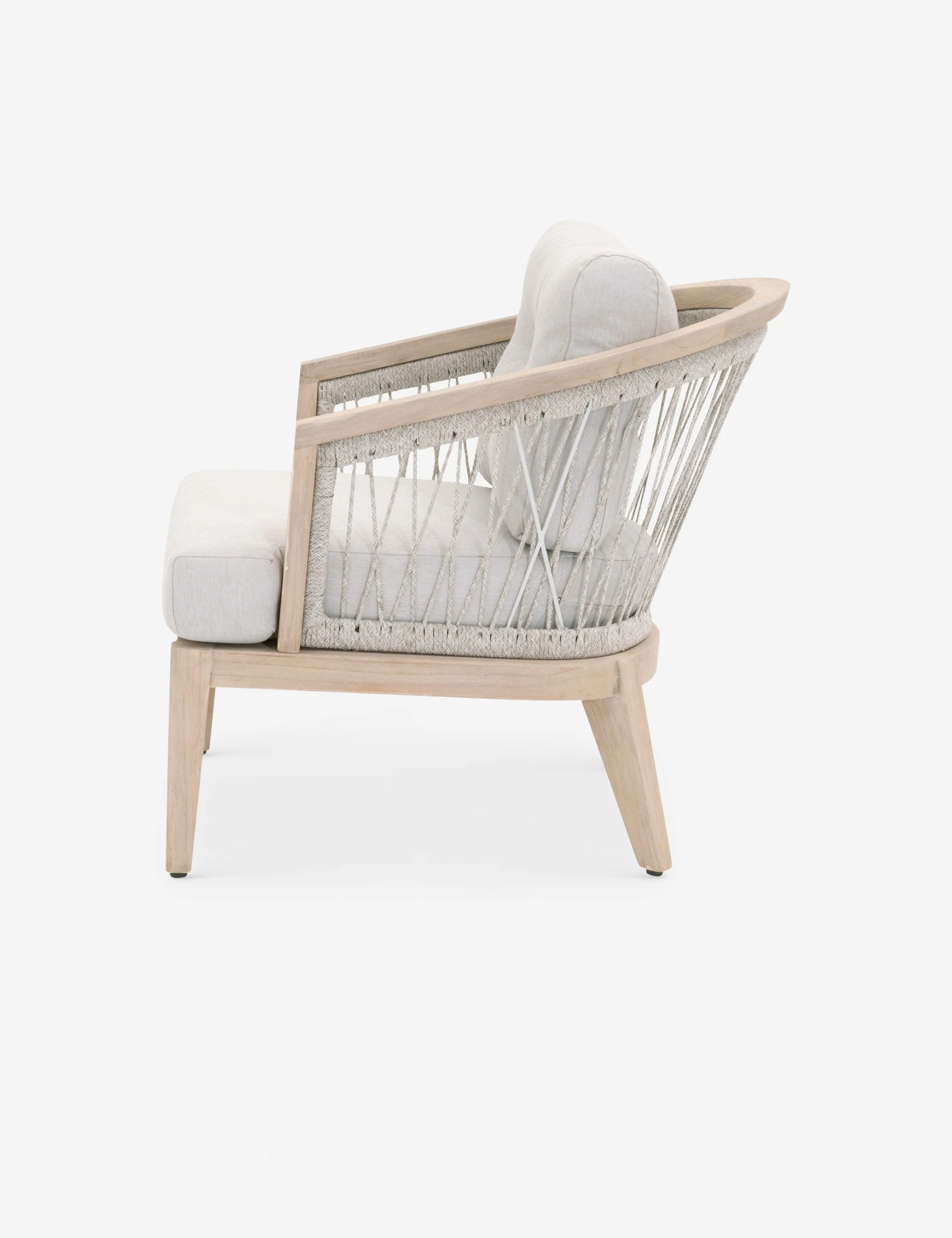 Joaquin Indoor / Outdoor Accent Chair - Image 3