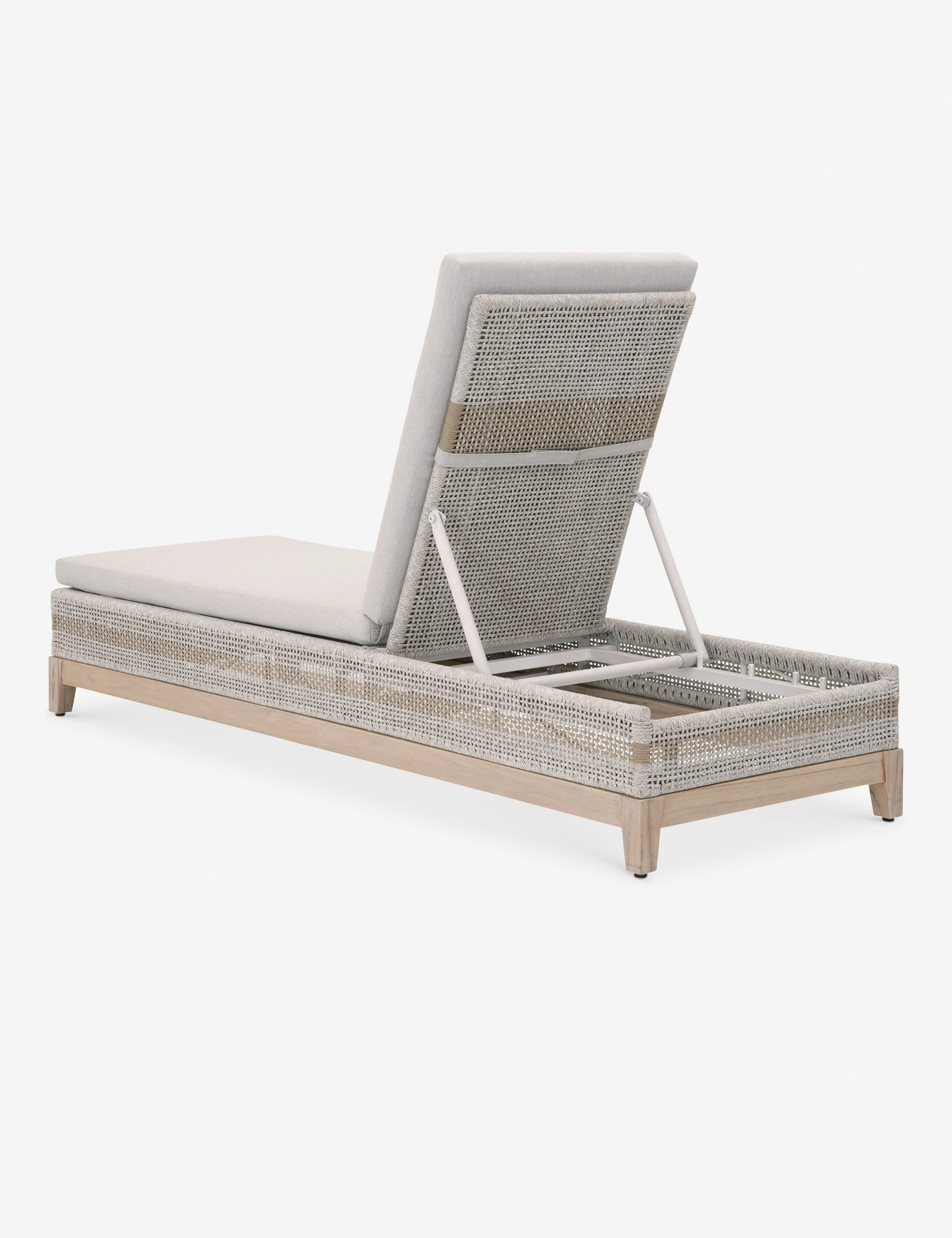 Kinnda Indoor / Outdoor Chaise Lounge - Image 5
