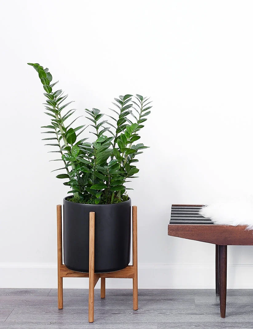 Ceramic Planter Pot + Teak Stand by LBE Design - Image 6