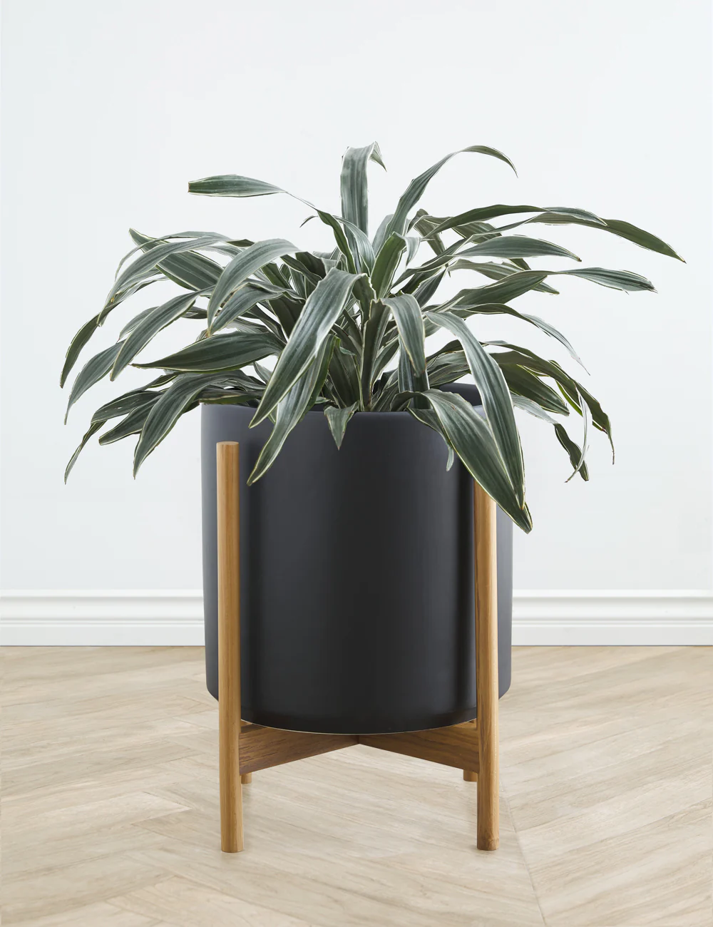 Ceramic Planter Pot + Teak Stand by LBE Design - Image 7