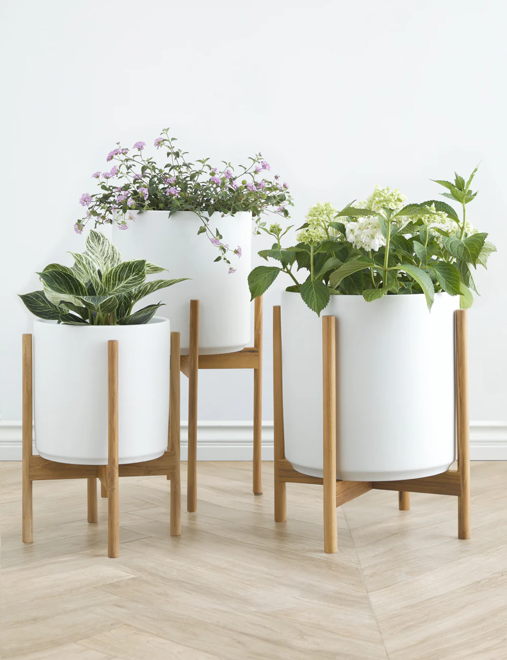 Ceramic Planter Pot + Teak Stand by LBE Design - Image 9