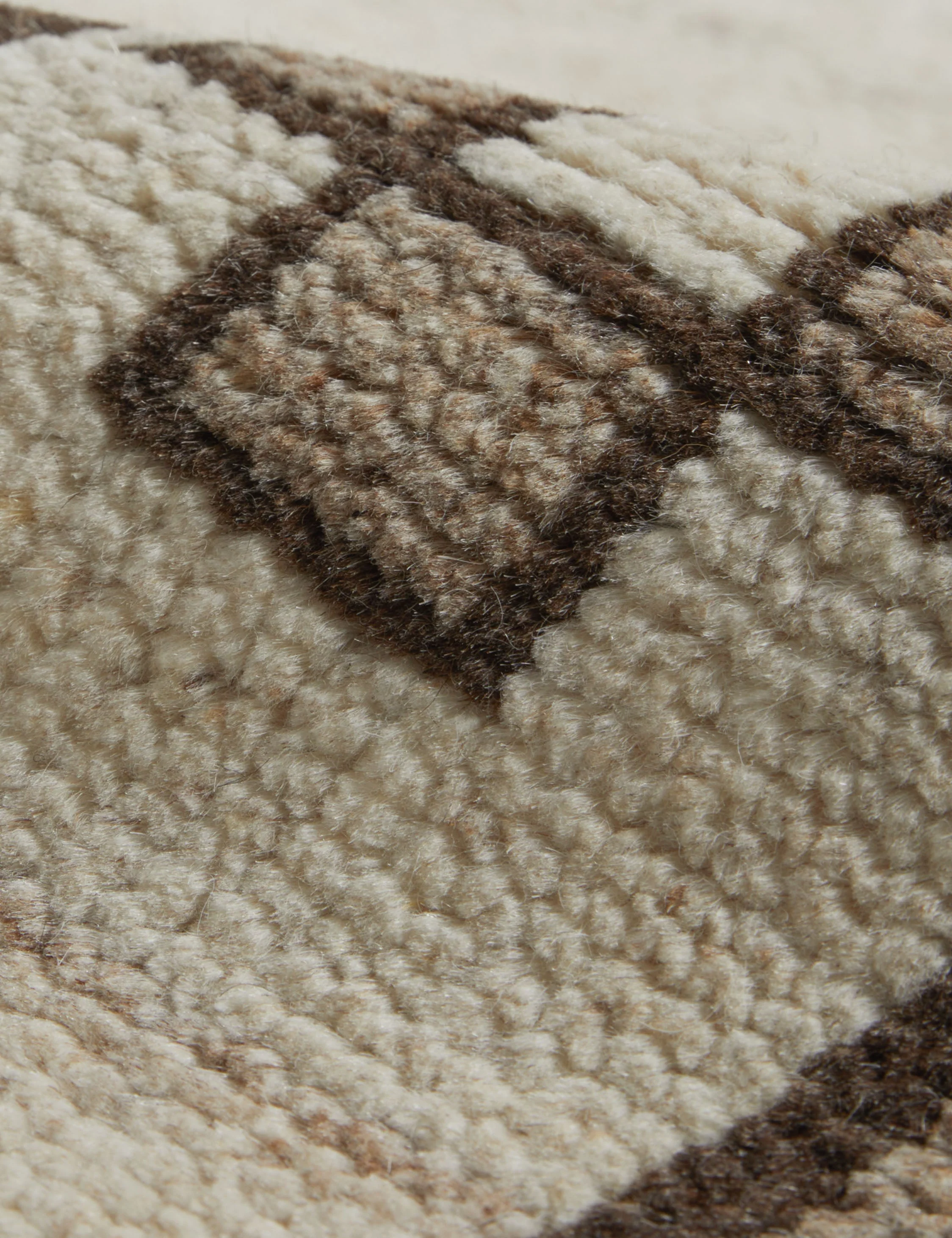 Leyli Hand-Knotted Wool Rug Swatch - Image 4