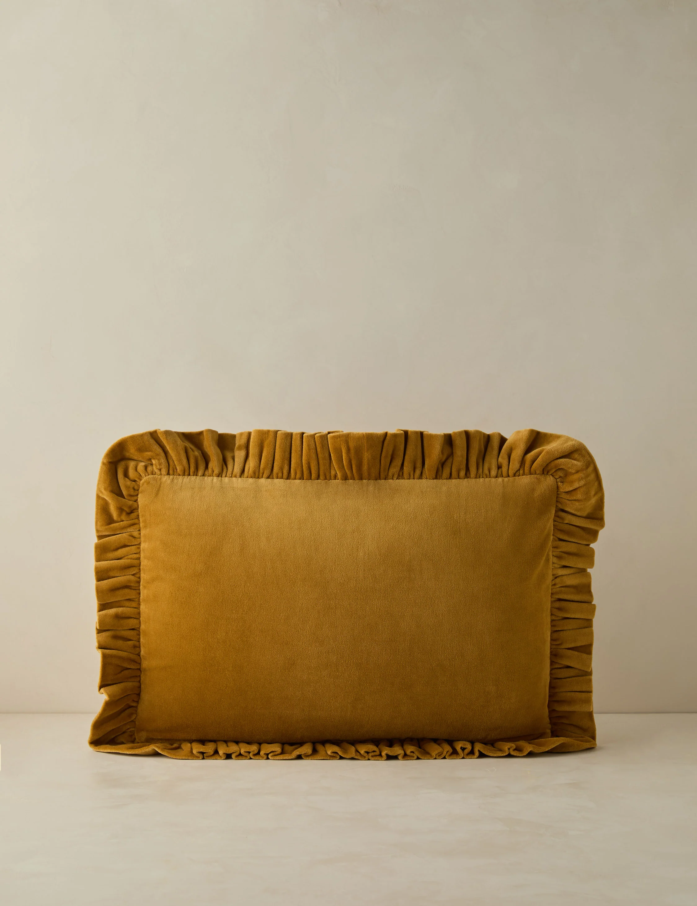 Mauree Velvet Pillow - Image 16
