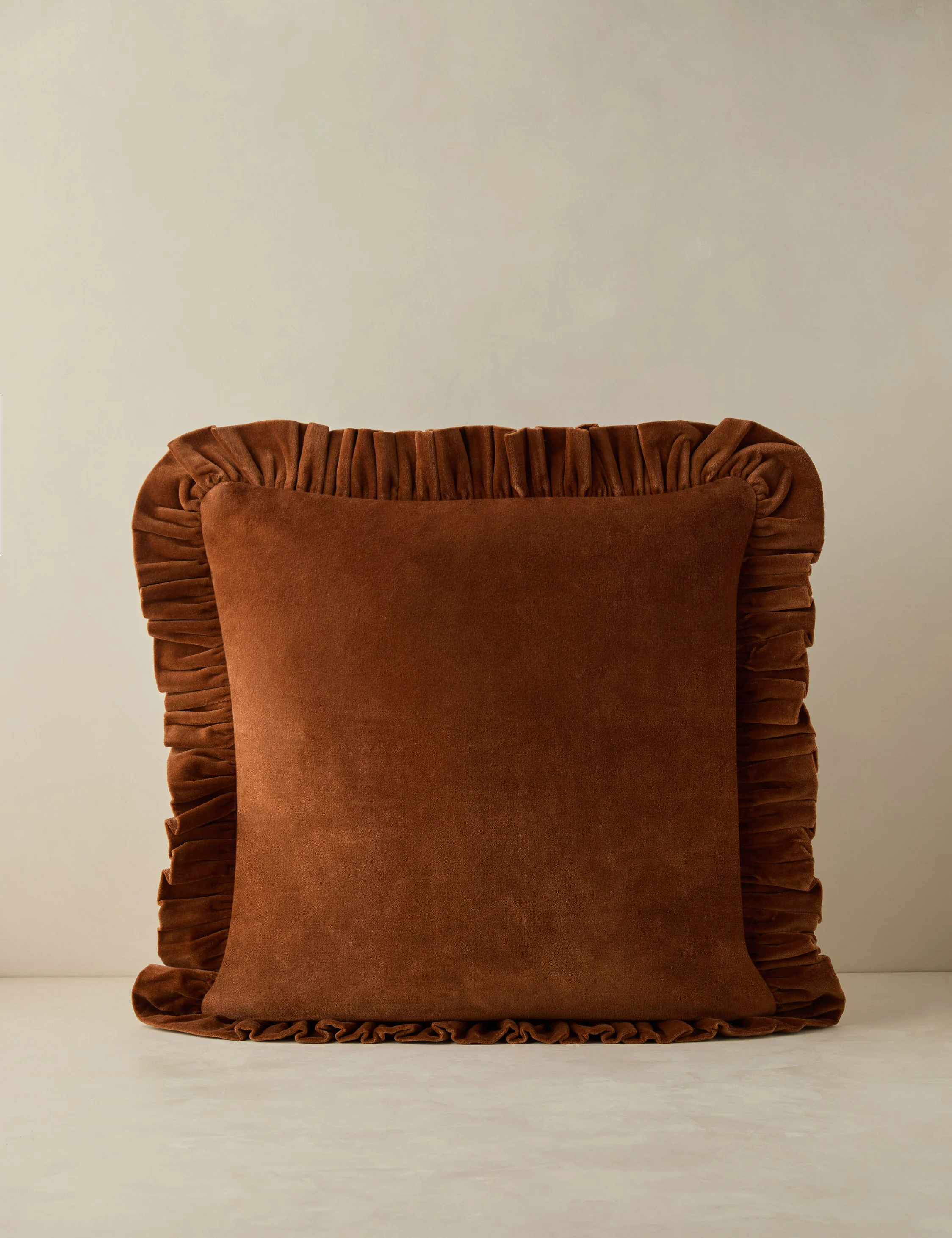 Mauree Velvet Pillow - Image 3