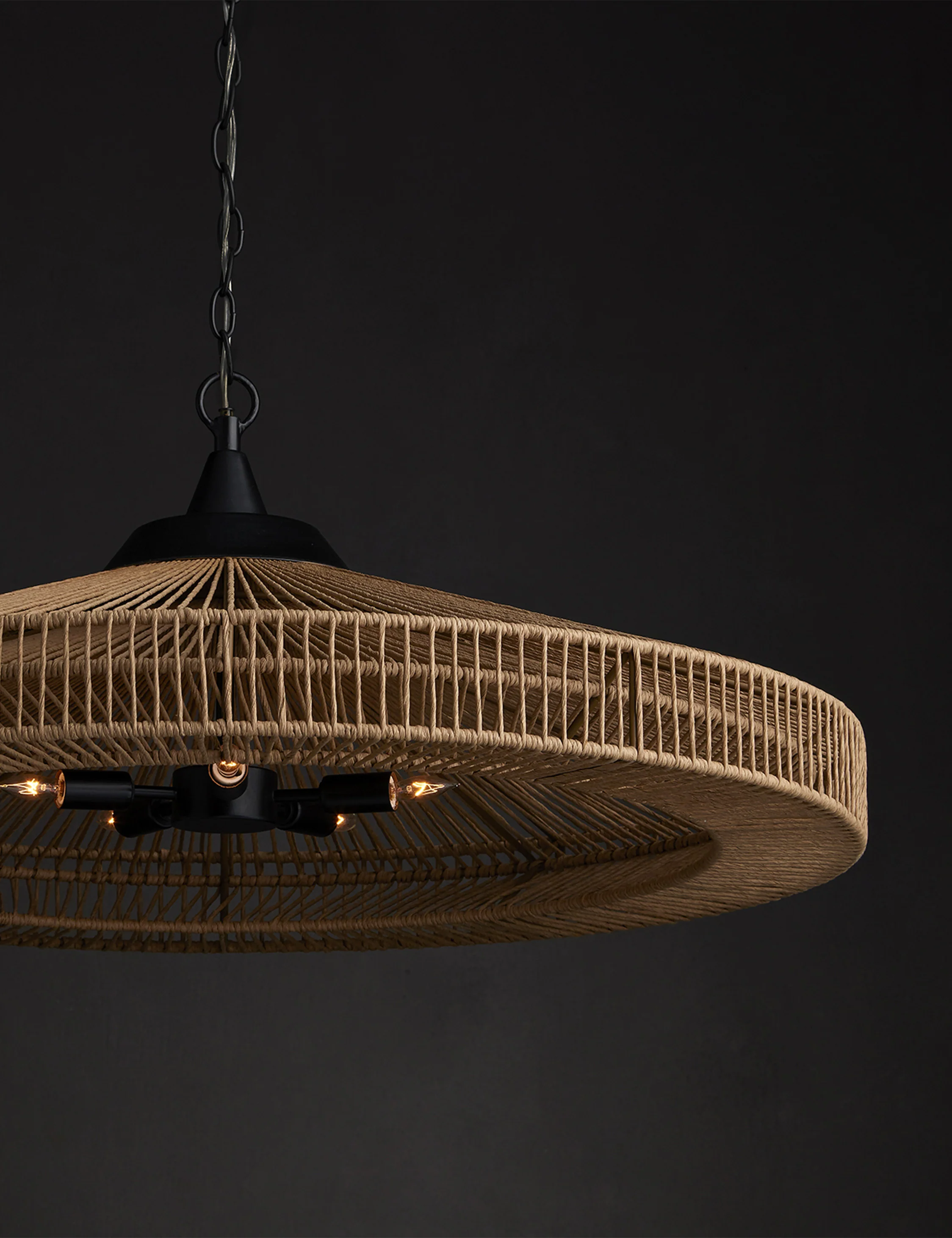 Oleander Chandelier - Image 2