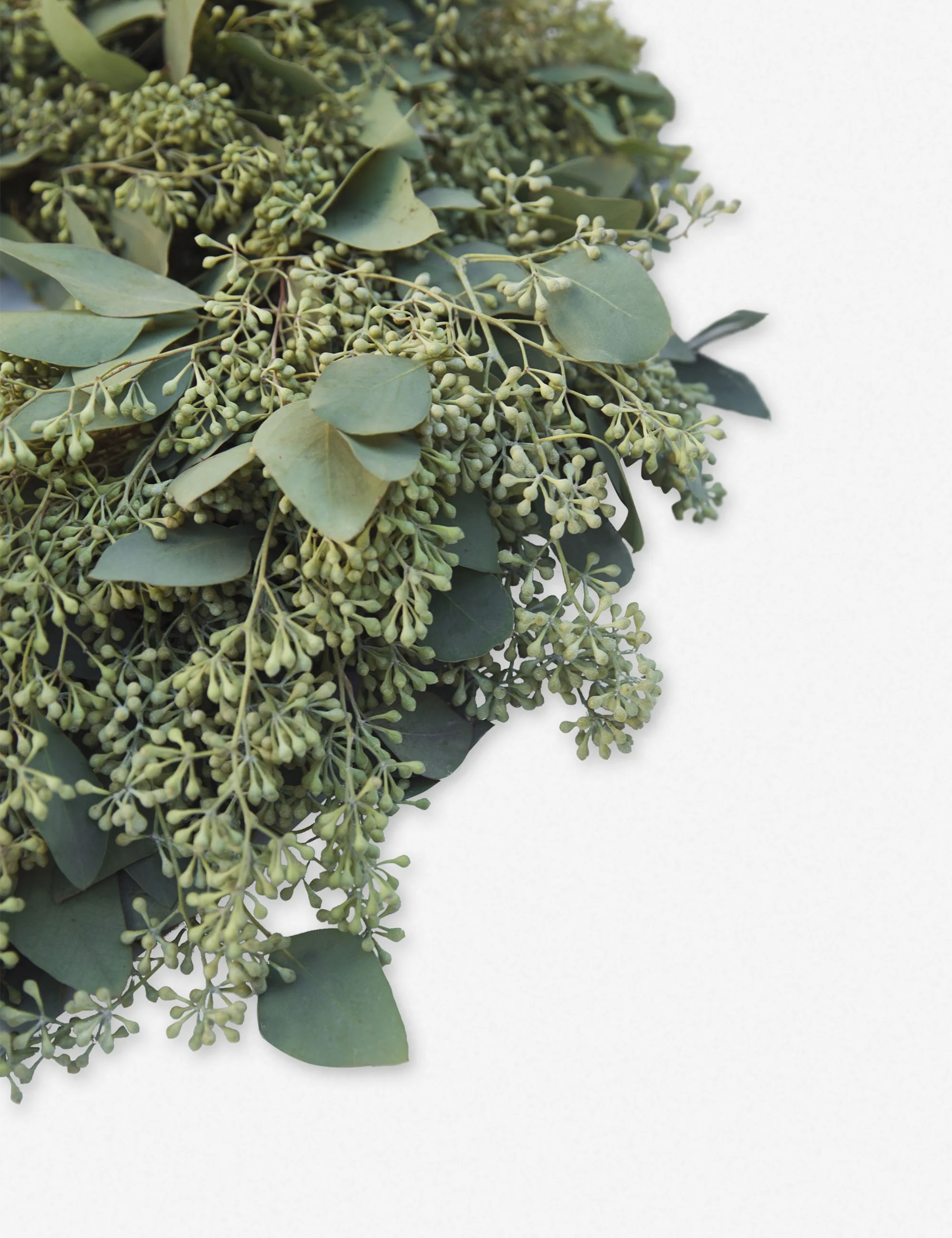 Fresh Handmade Seeded Eucalyptus Wreath - Image 7